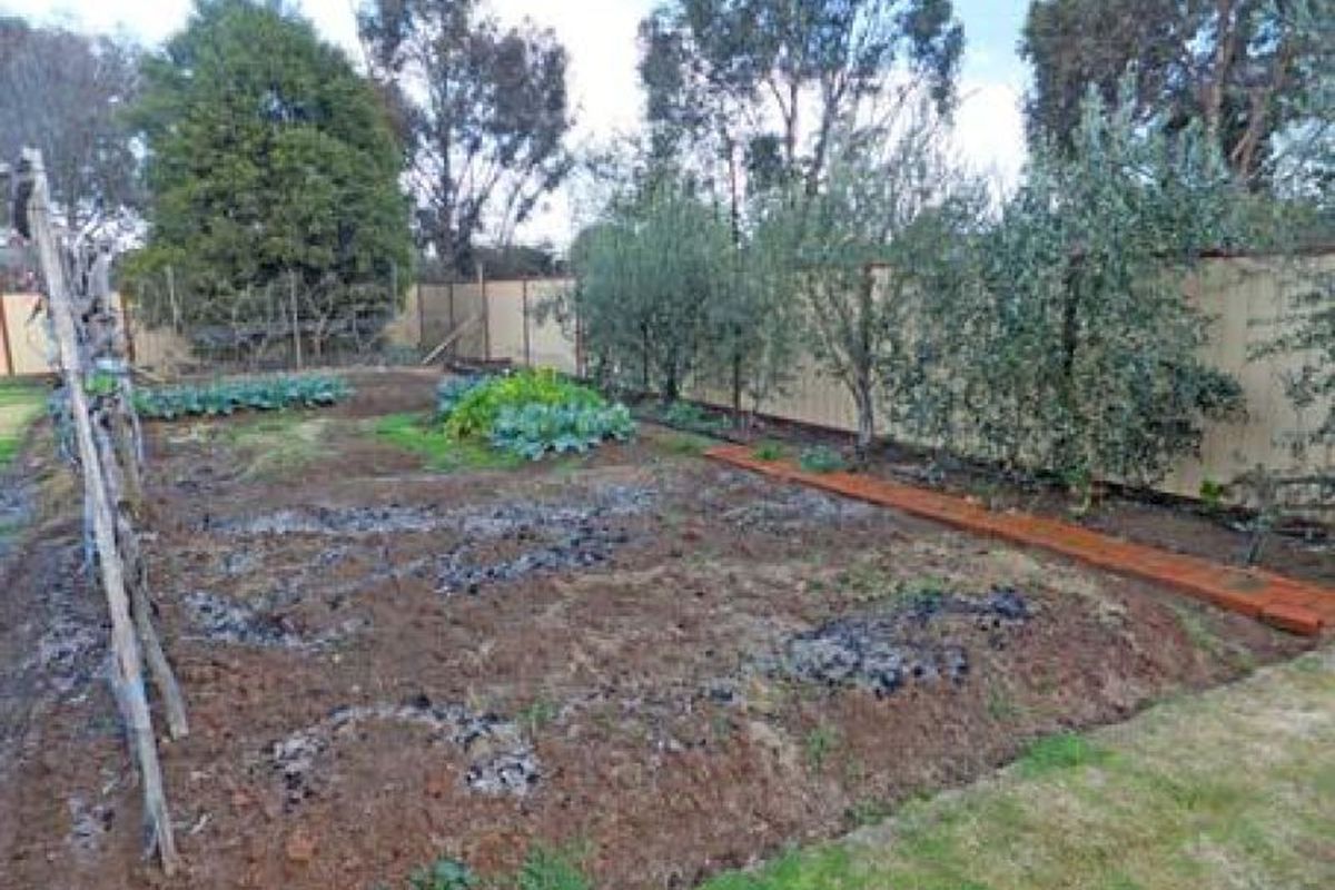 60 Merrigum-Ardmona Road, Merrigum