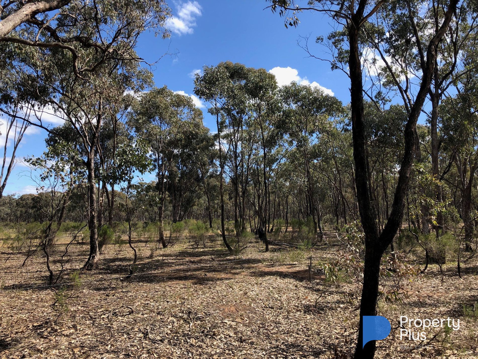 Lot 18 & 19, Derby Road, Campbells Forest