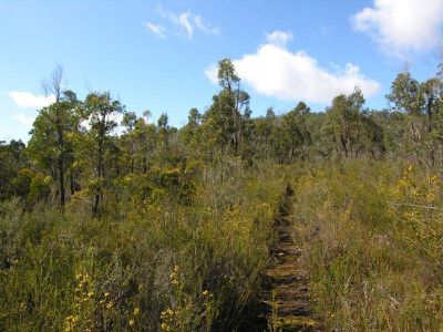 Lot 3 Huon Highway, Surges Bay