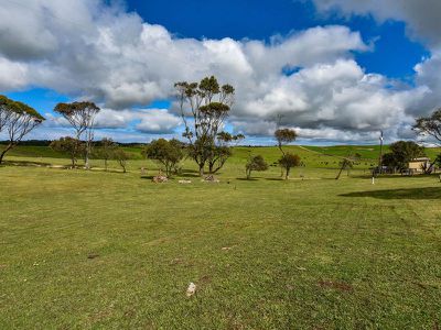 94 Edwards Lane, Millicent