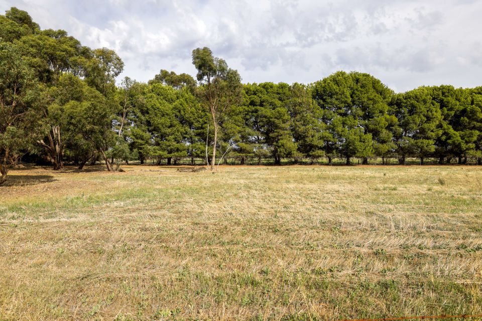 Lot 24A Arnold Road, Bridgewater On Loddon