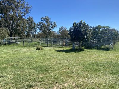 45 Brooklands Pimpimbudgee Road, Kingaroy