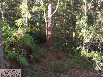 Maleny