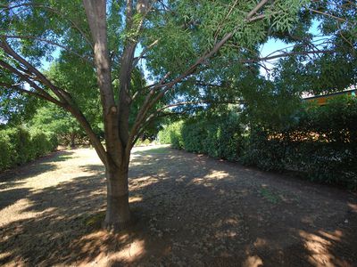 41-43 Jennings Street, Geurie