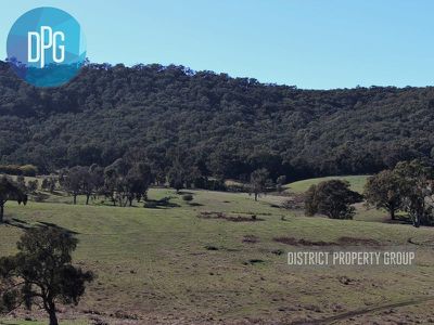 487 Old Tonga Road, Mansfield