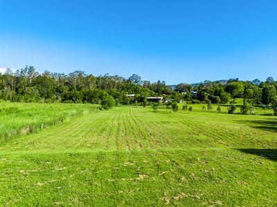 169 Gungas Road, Nimbin