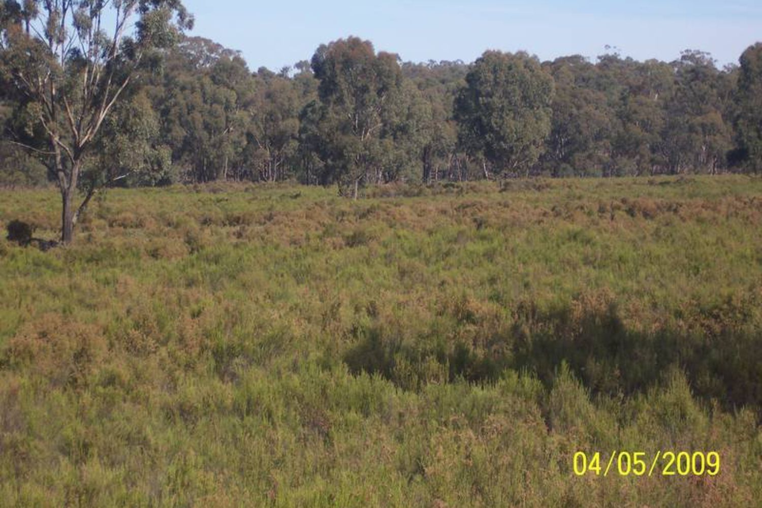 Willows Road, Murchison