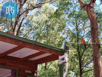 14 Rosella Street, Sawmill Settlement