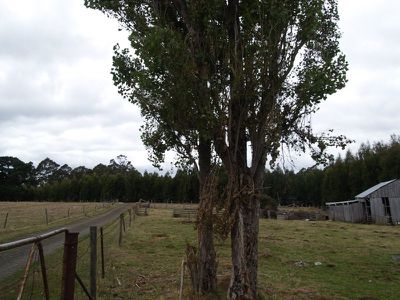 256 Lightwood Road, Glen Huon