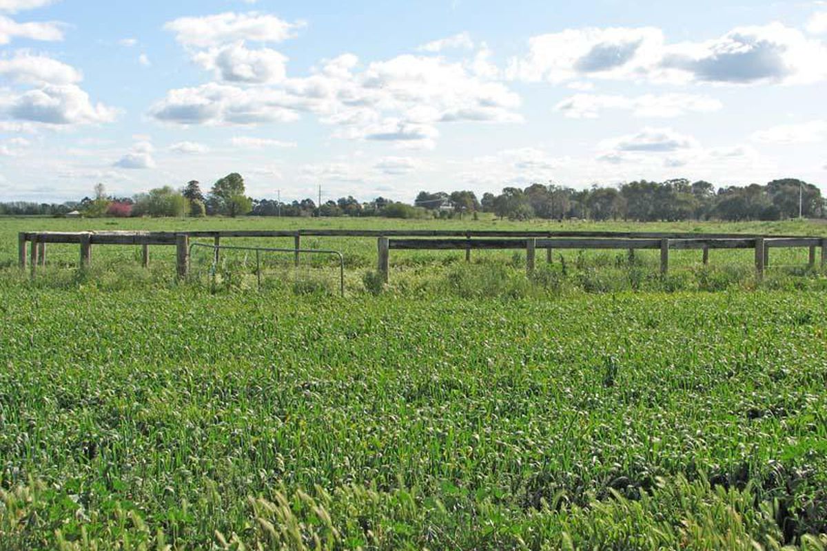 1736 Wilson Road, Tongala