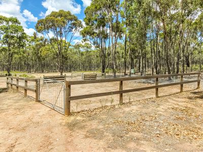 125 Campbells Lane, Tooborac