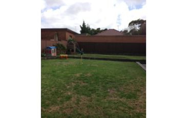 84 Harcout Pde, Rosebery
