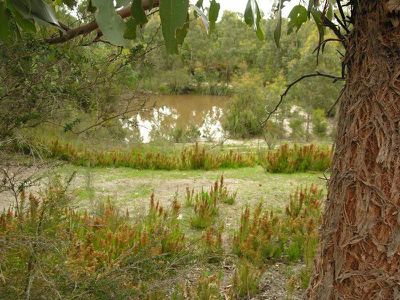 0 Esperance Coast Road, Surges Bay