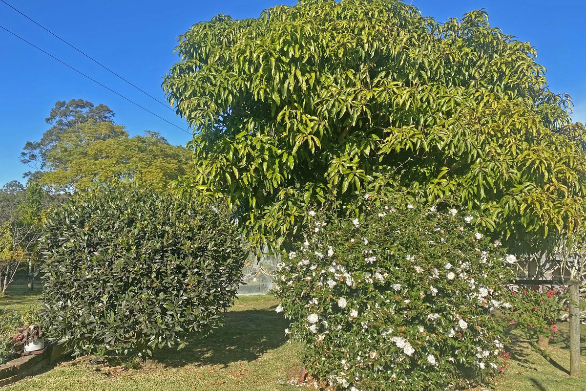 6 Doakes Lane, Tinonee