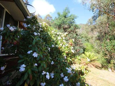 228 Cross Road, Gardners Bay