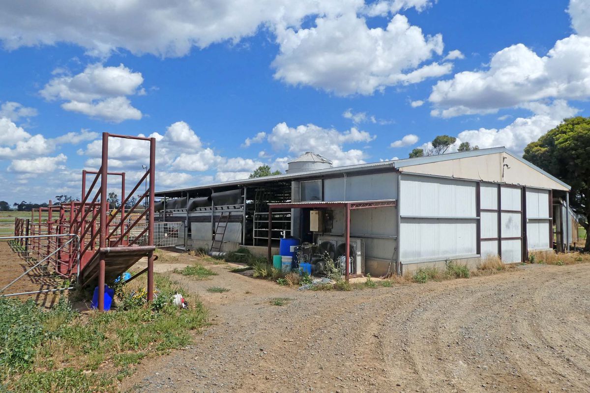 49 Martin Road, Stanhope