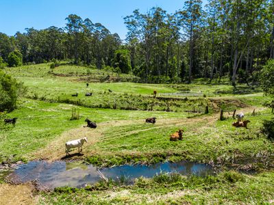 4358 Kyogle Road, Lillian Rock