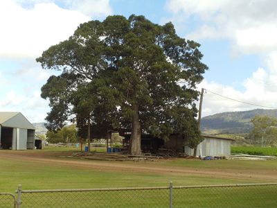 743 Mount Sylvia Road, Upper Tenthill