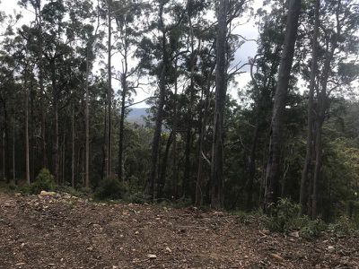 Lot 3, 106 Wongawallen Road, Tamborine Mountain