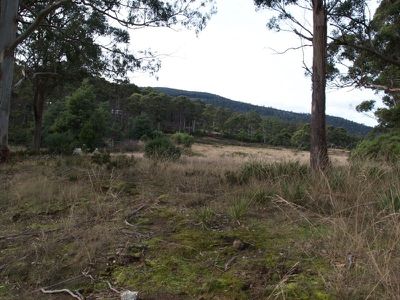263 Woolleys Road, Lonnavale