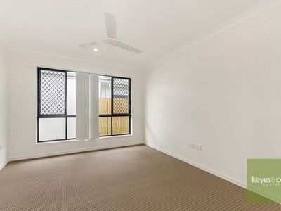 16 Orangeberry Circuit, Mount Low