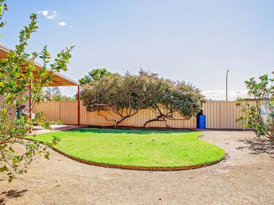 20 Homestead Ramble, Newman