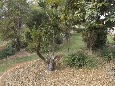 6 Hazelmount Terrace, Kingaroy
