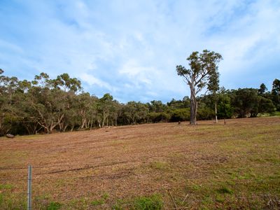 343 Dingo Flat Road, Hazelvale
