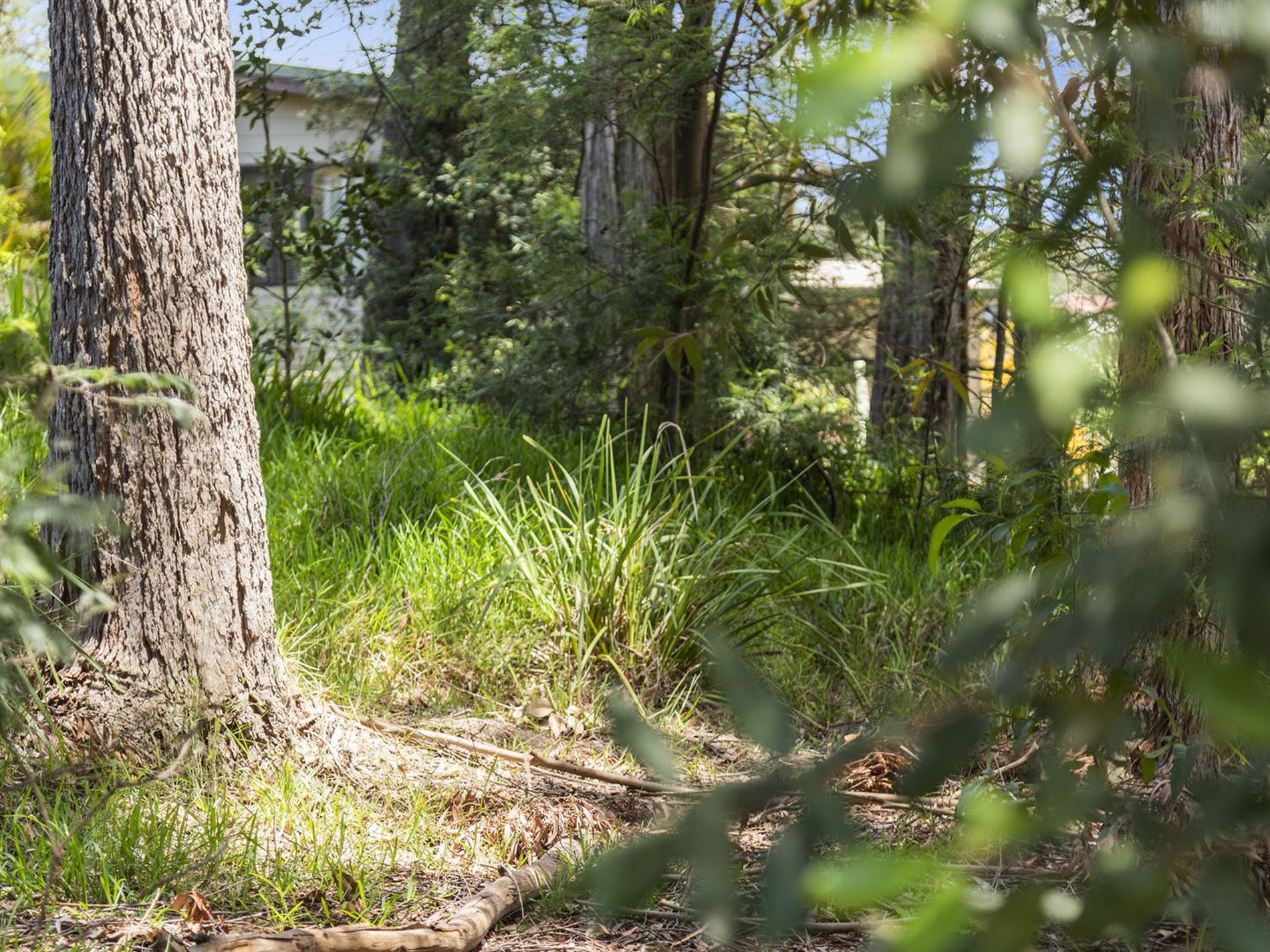 55 Leo Drive, Narrawallee