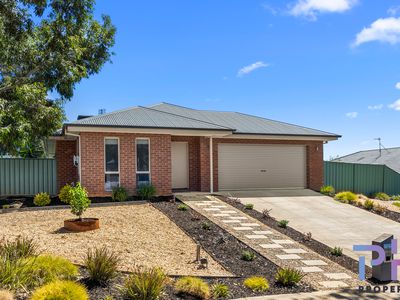 20 Janelle Drive, Maiden Gully