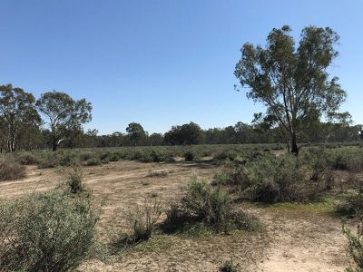 14 / Edward River Road, Moulamein