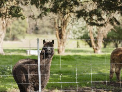 2115 HIGHLANDS ROAD, Whiteheads Creek