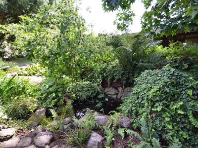 6358 Kiewa Valley Highway , Coral Bank