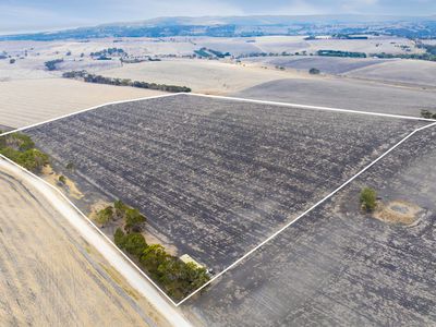 Lot 112 Hay Flat Road, Hay Flat