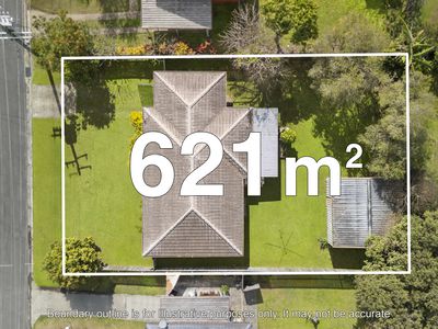 11 Anchusa Street, Kingston
