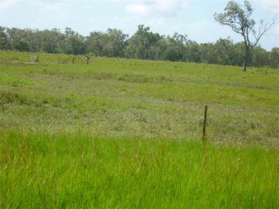 2 Flaggy Road, Cooktown