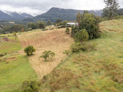 17 Evelyn Way, Nimbin