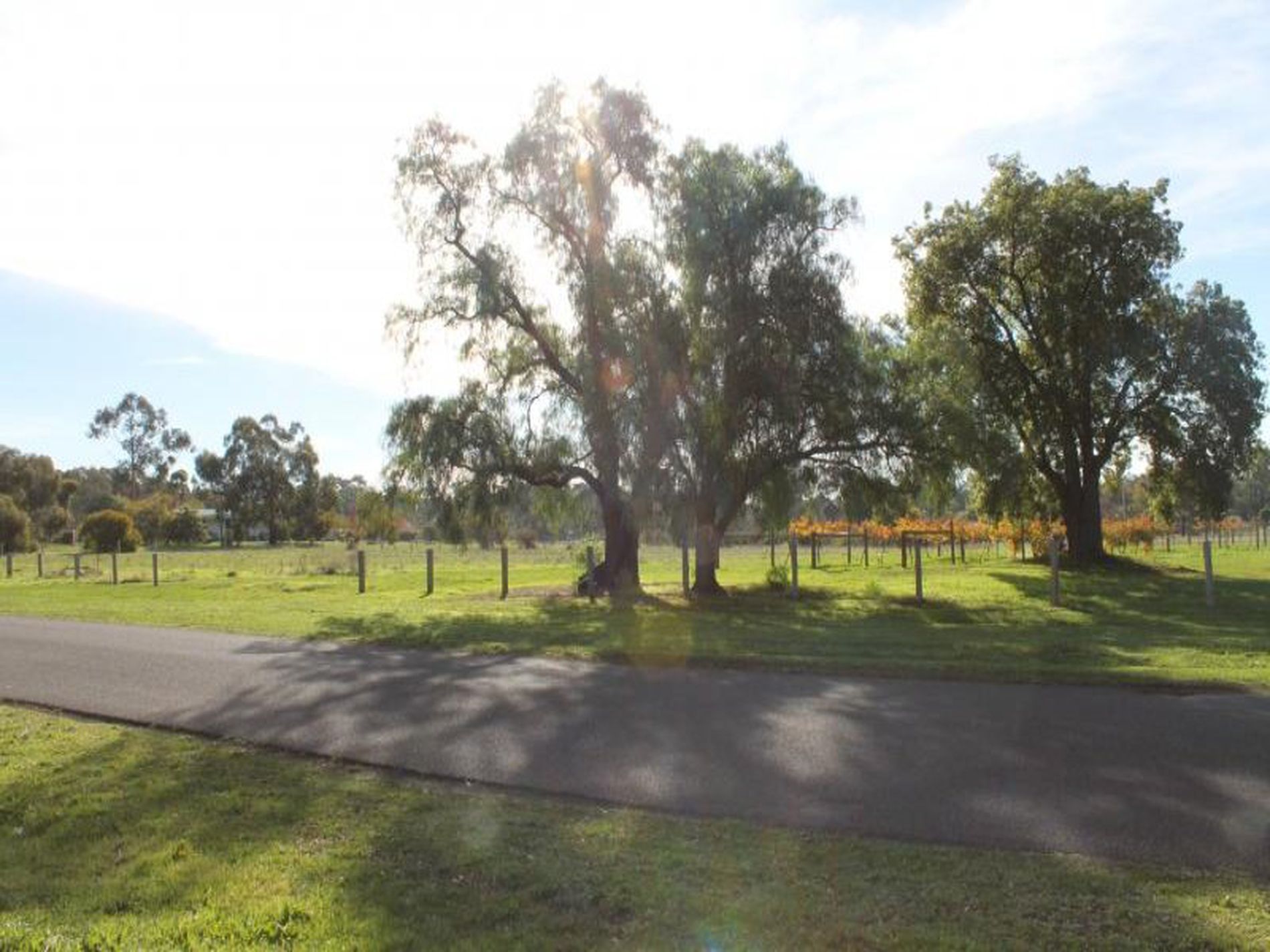 16 Boomerang Place, Heathcote