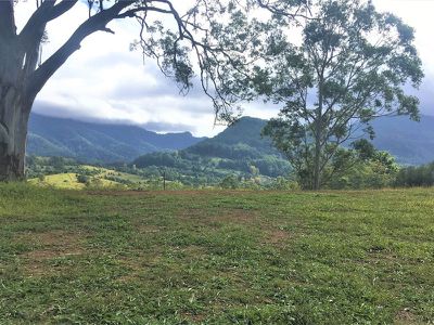 Lot 14, 198 Gungas Road, Nimbin