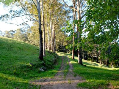 781 Upper Kangaroo River Rd, Kangaroo Valley