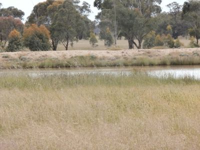 1 Abbott Road, Wedderburn Junction