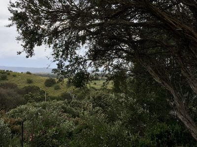11 Max Avenue, St Andrews Beach