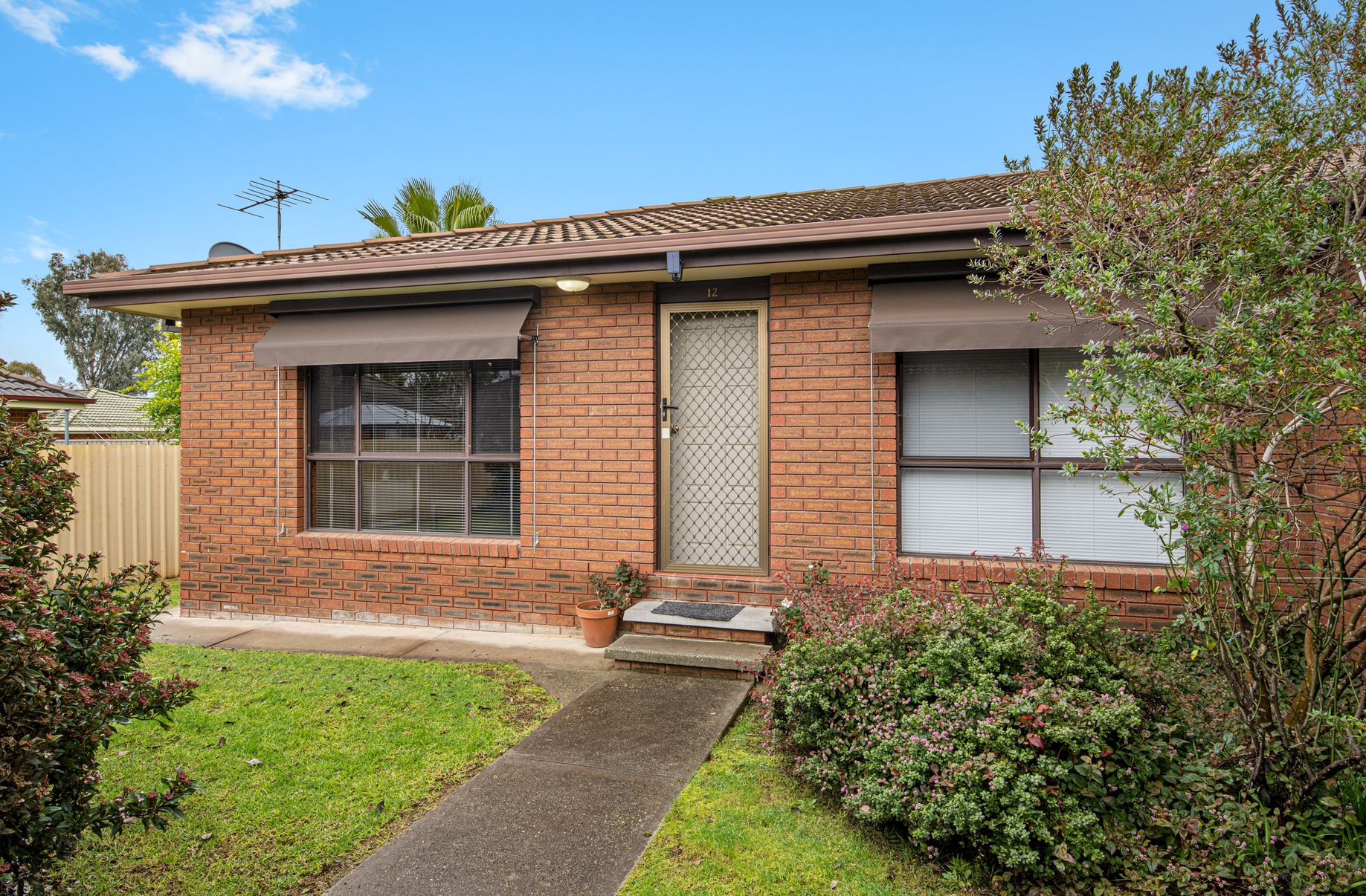 12 / 595 b Street, Lavington Link Real Estate