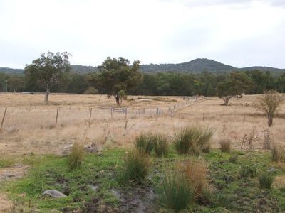 113 Summerville Road, Emmaville