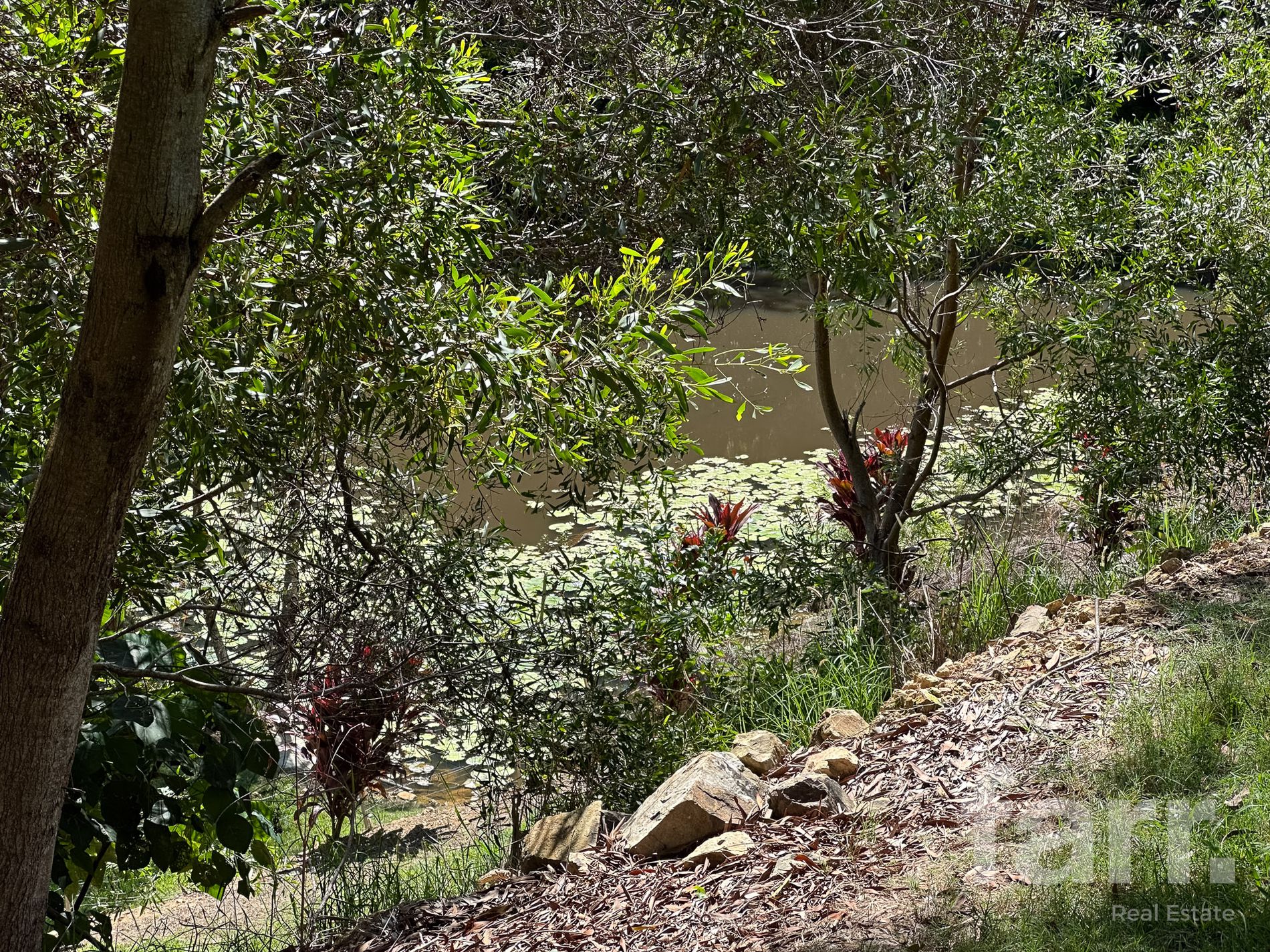 43 Bopple Nut Court, Cobaki