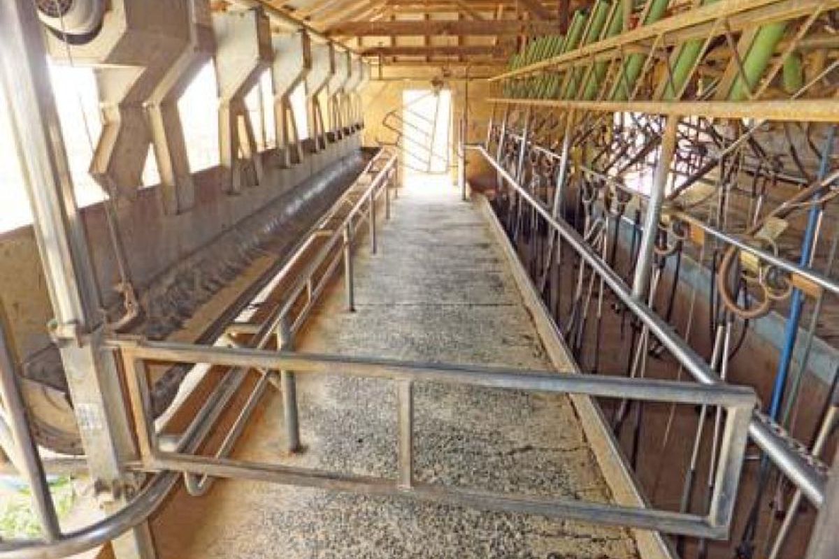 720 White Road, Girgarre