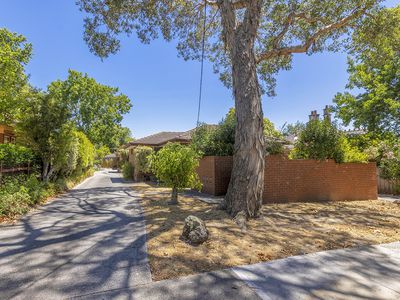 2 / 24 Suffolk Road, Surrey Hills