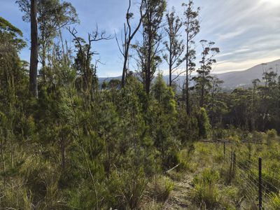 77 Grovenor Rise, Grove