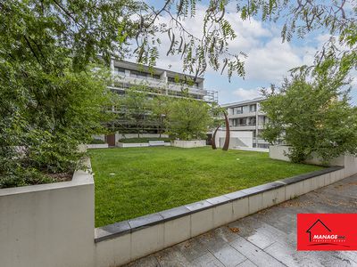 8 / 20 Eyre Street, Kingston