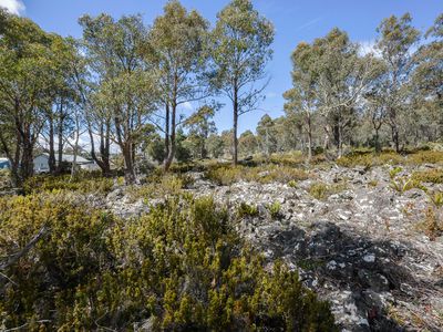 22 Arthurs Lake Road, Wilburville